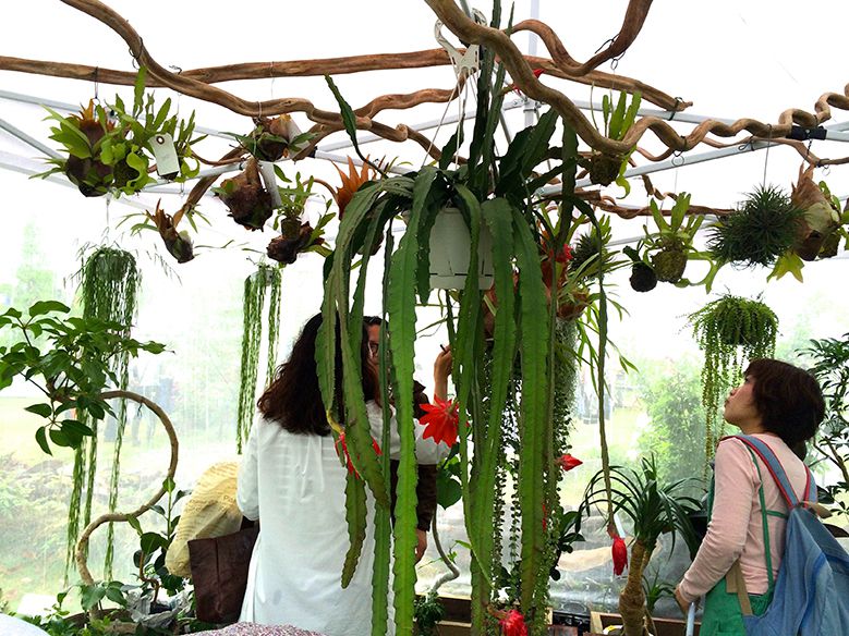 Go Green Market in Nagoya_004
