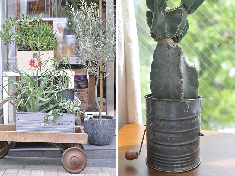 ACME_UpcycledPlanters_03