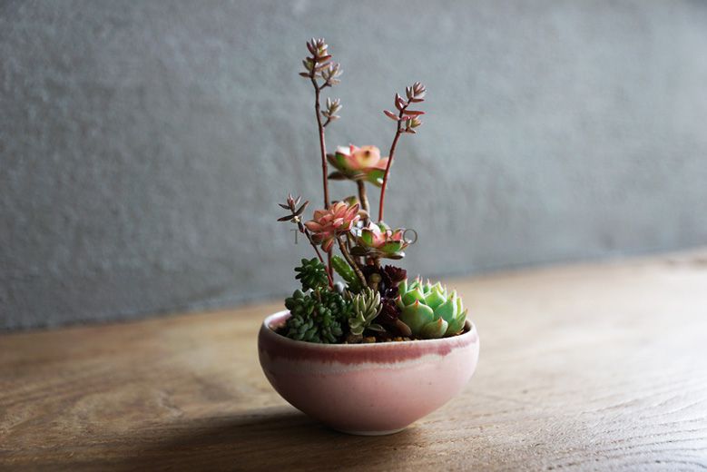 takemura-yoshinori-idee-crafts_04