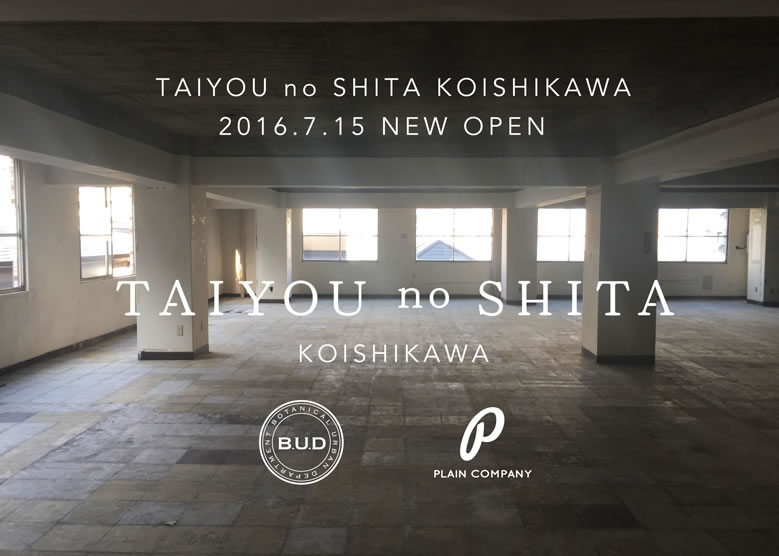 tns_koishikawa_01