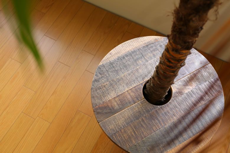 plants_table_0003
