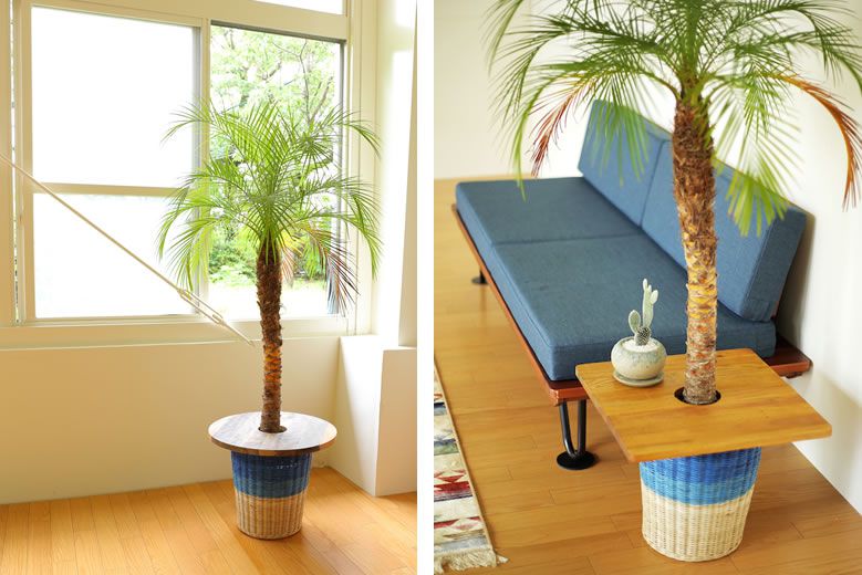 plants_table_0005