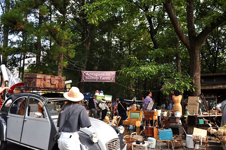 Antiques in Hilltop Farm 2017 Spring_001