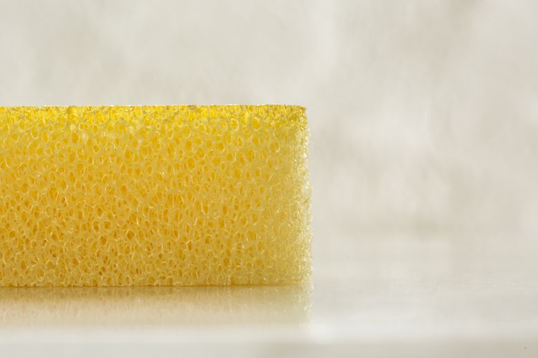 moma store kamenoko sponge moma store kamenoko sponge