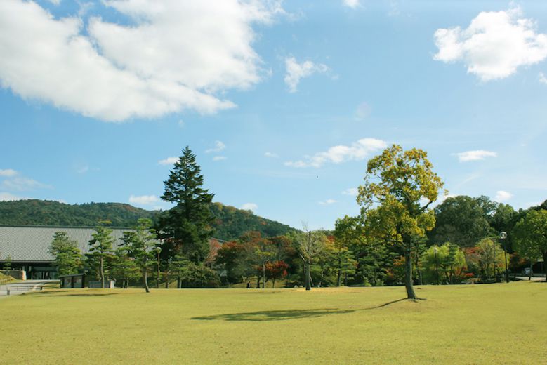 dainihionichi-hakurankai_5th_nara_02