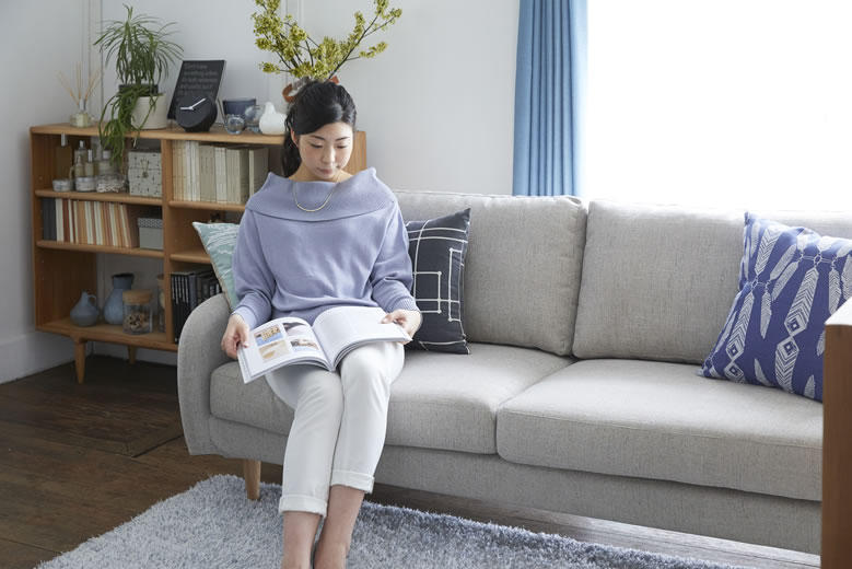 Covering-sofa_CAS-D_003