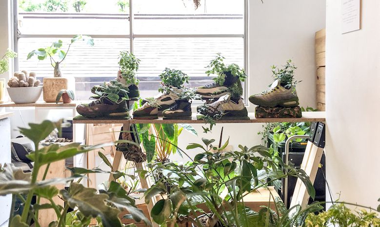 11店舗が集結 代官山t Siteで植物のポップアップ初開催 タブルームニュース