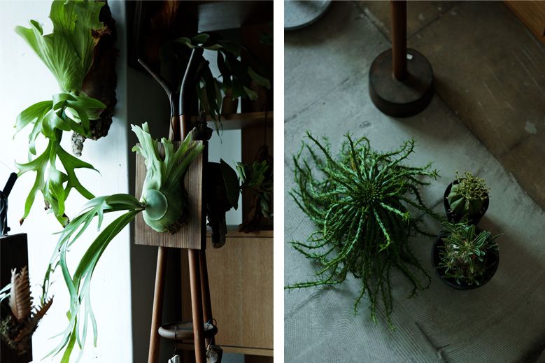 flowerandgardenmarket_003